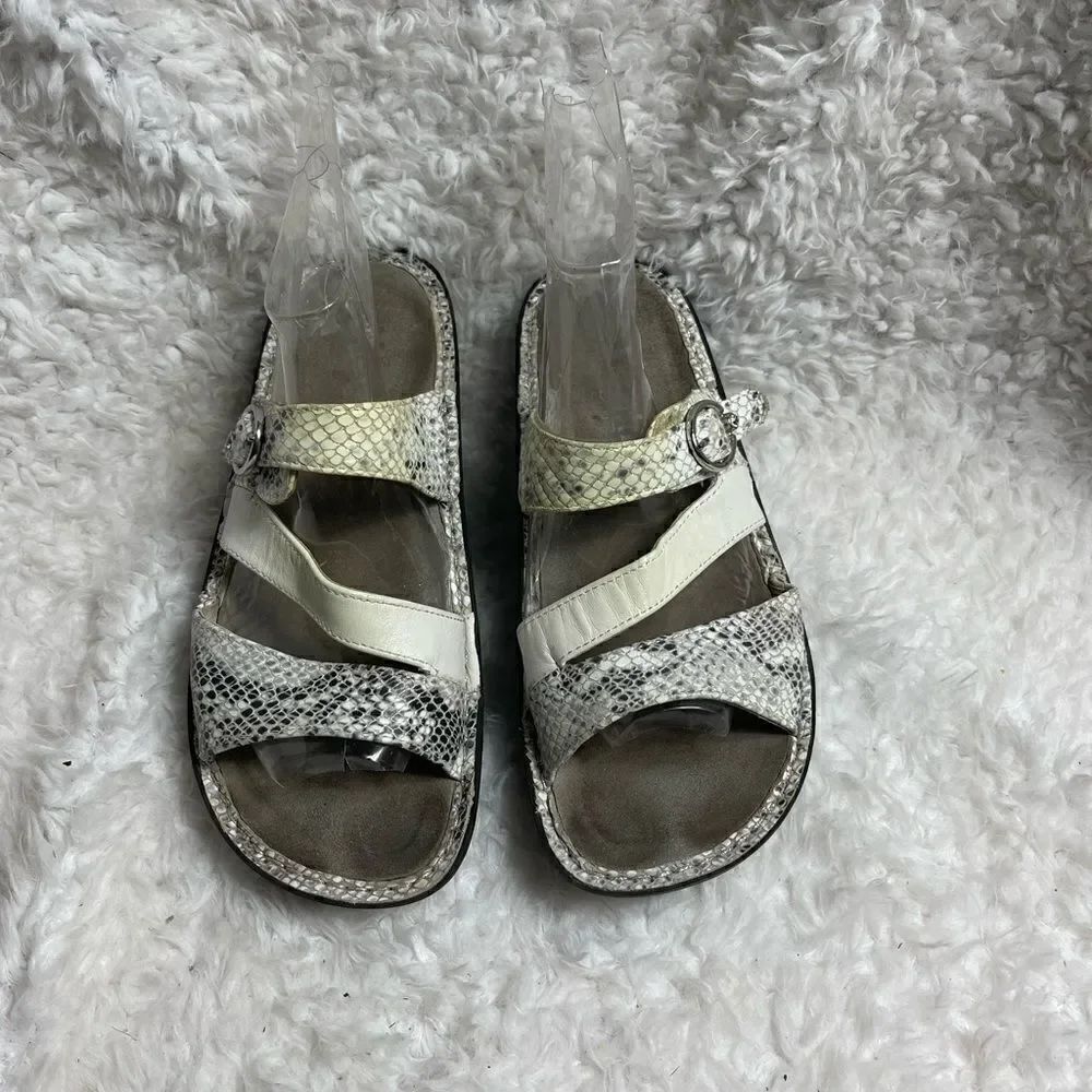 Alegria Col Leather white &snake skin prints white & gray strap sandals EUR SZ38
